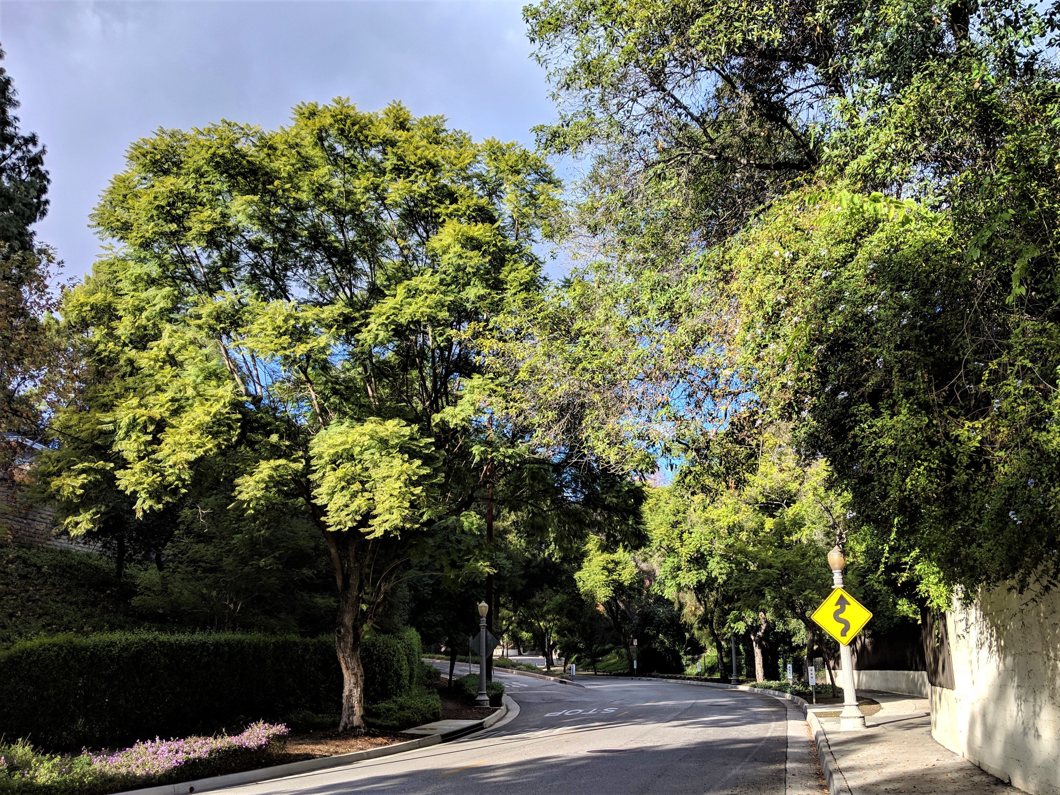 South Pasadena